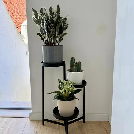 アパート Paraiso Secreto