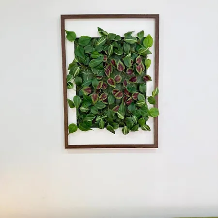 Paraiso Secreto アパート *