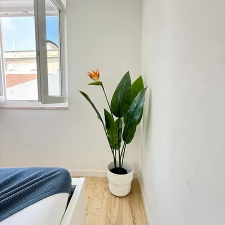 Paraiso Secreto Apartment